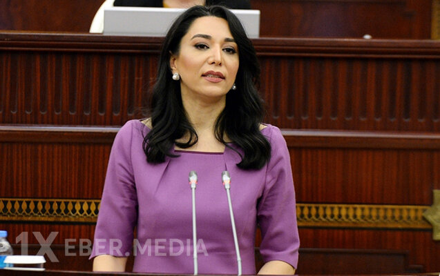 Ombudsmanın illik məruzəsi qəbul edildi