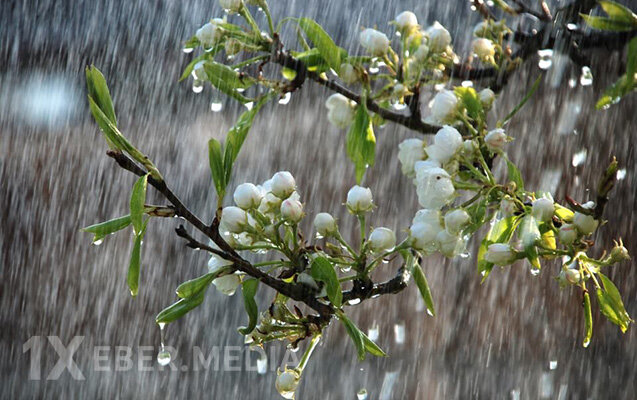 Hava ilə bağlı - Xəbərdarlıq