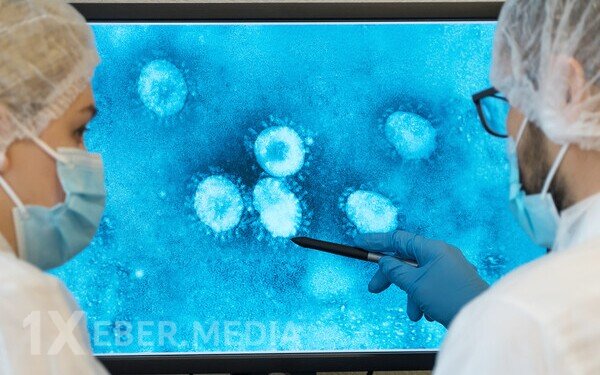 Viruslar bir-birini "eşidir" - Araşdırma