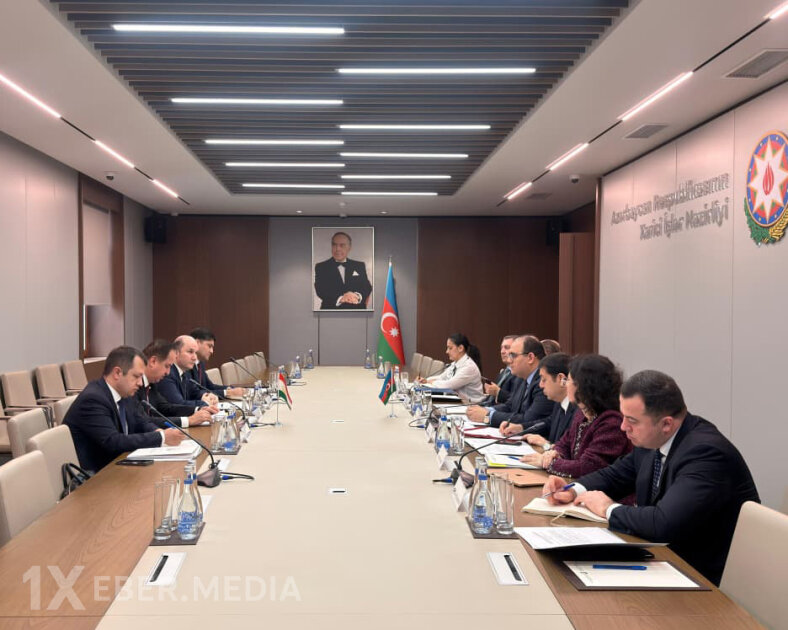 Azərbaycan və Tacikistan XİN-ləri arasında növbəti konsulluq məsləhətləşmələri olub