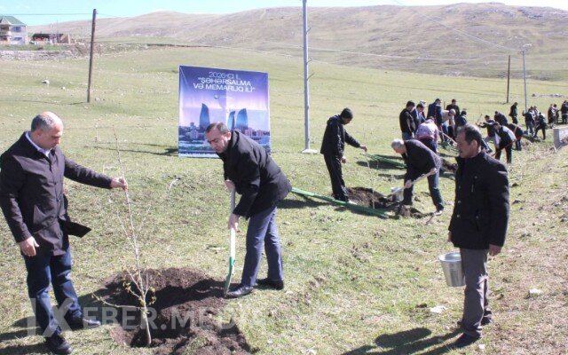Daşkəsəndə ağacəkmə aksiyası keçirildi - FOTOLAR