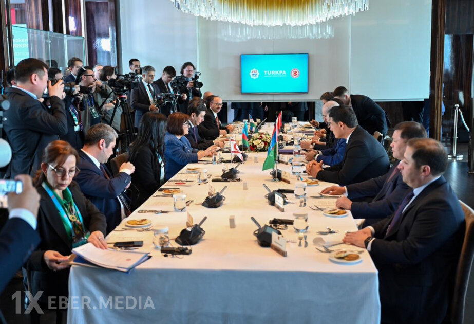 Milli Məclisin sədri Sahibə Qafarova Gürcüstan parlamentinin sədri ilə görüşüb