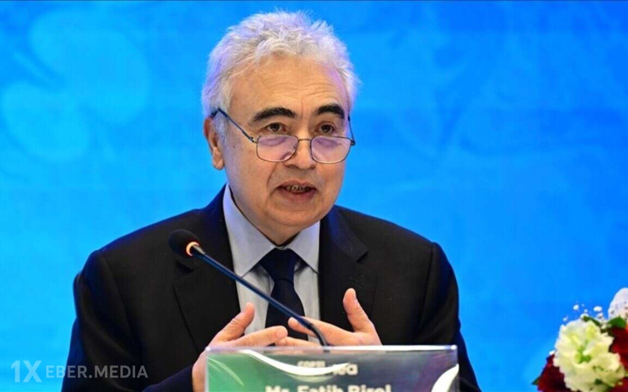 "Qiymətlərdə kəskin şəkildə artım gözlənilir" - İcraçı direktor