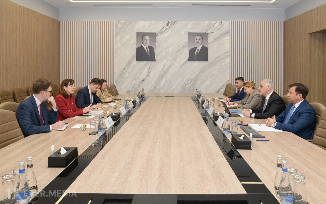 RİNN-də ABŞ nümayəndə heyəti ilə görüş keçirilib - FOTOLAR