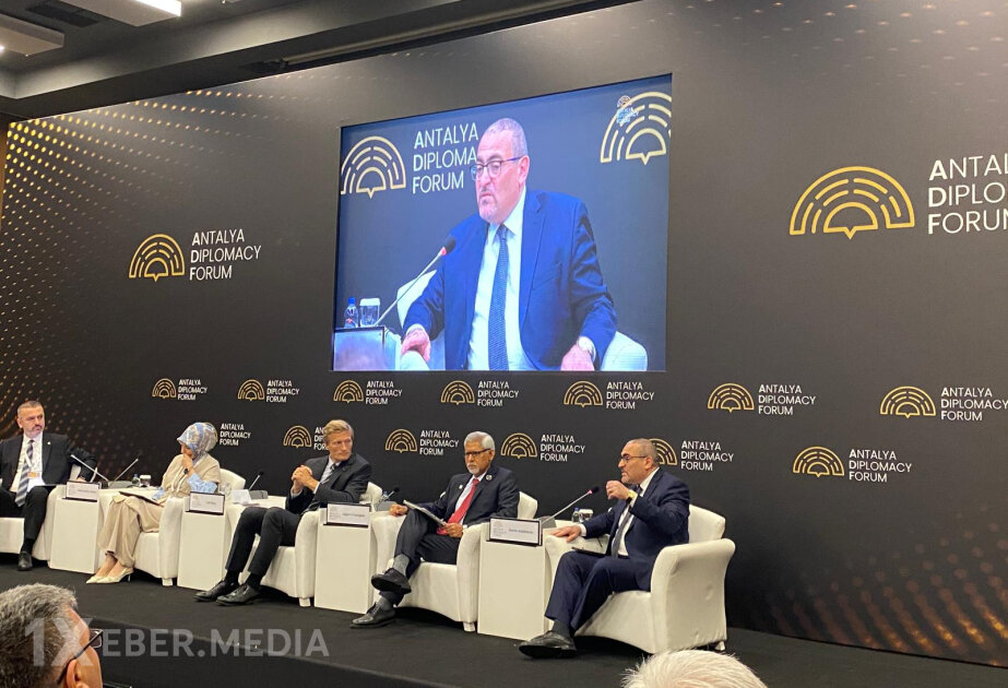 Ramiz Ələkbərov: Dünya bir çox hallarda ikili standartlardan qaça bilməyib