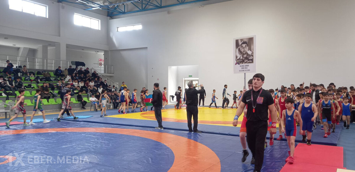 Şəkidə şəhidin xatirəsinə həsr olunan güləş üzrə yarışda 240 idmançı mübarizə aparıb