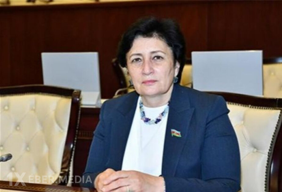 Azərbaycan ilə Serbiya arasında ikitərəfli münasibətlər yüksək səviyyədə inkişaf edib ŞƏRH