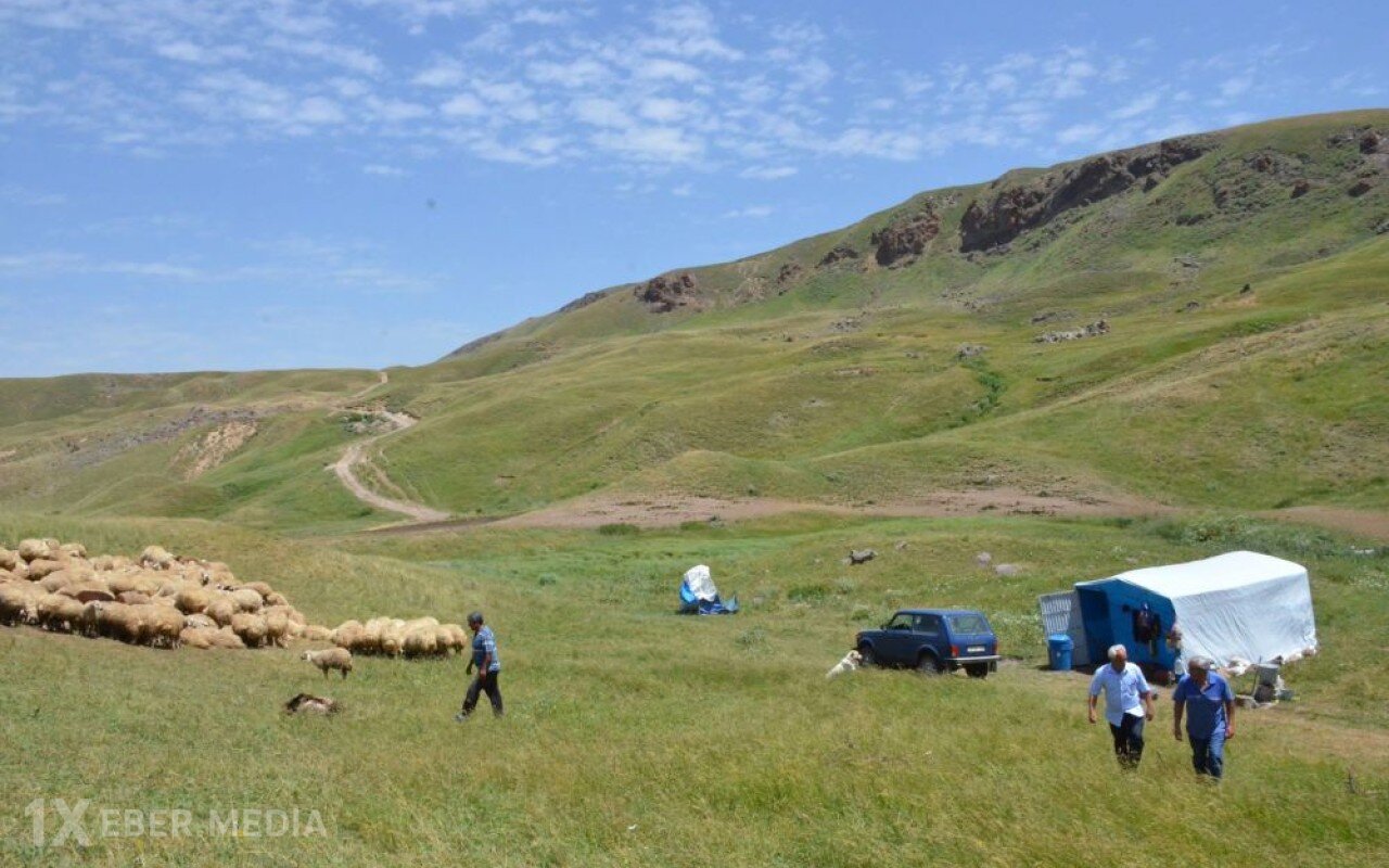 Yaylaqlara köç edəcək fermerlər üçün təlimlərə start verilib