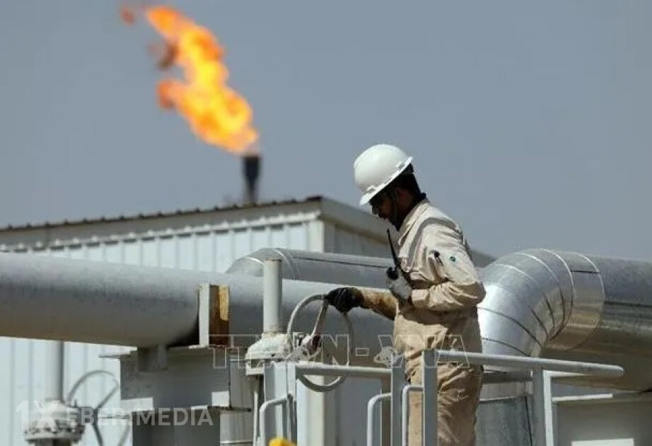 BEA: Dünya müasir tarixin ən böyük enerji böhranı ilə üz-üzədir