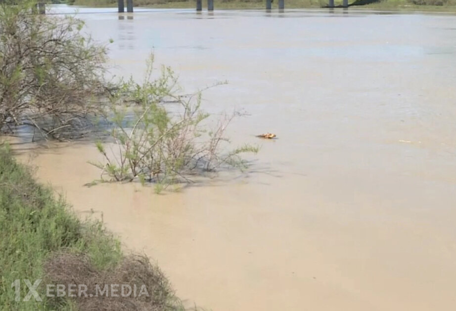 ADSEA: Kür çayında suyun səviyyəsi enir, fəsadların qarşısı alınır
