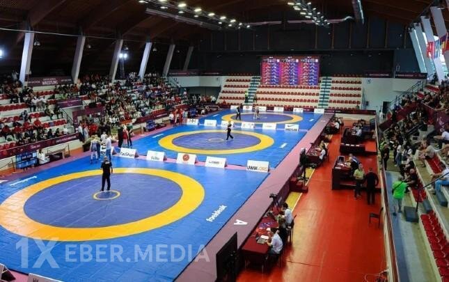 5 güləşçimiz mübarizəyə başlayır