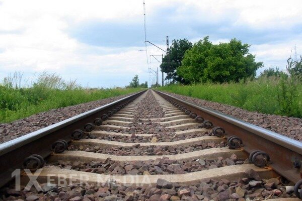 Almaniya Azərbaycana biznes-missiya göndərəcək