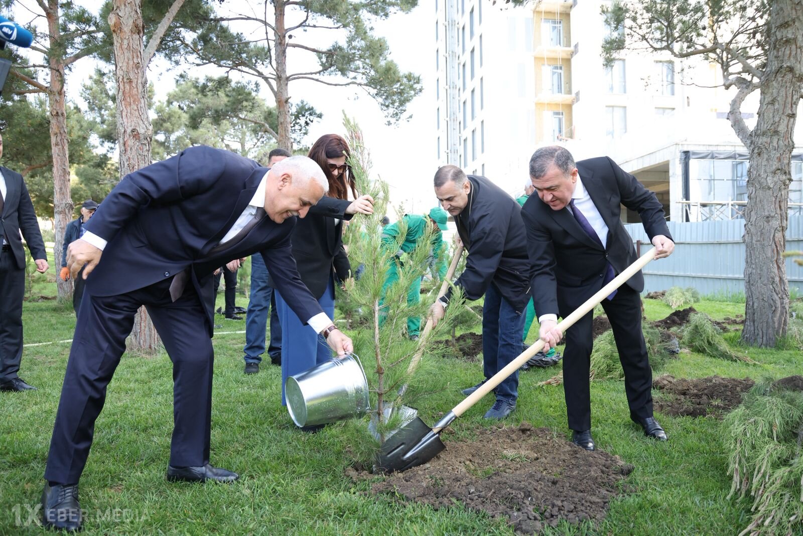 Xətai rayonunda “Şəhərsalma və Memarlıq ili” çərçivəsində ağacəkmə aksiyası keçirilib
