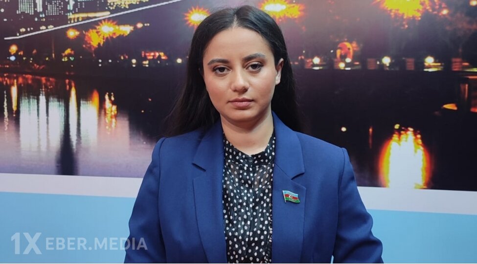 Azərbaycan-Çex Respublikası münasibətləri daha da inkişaf edəcək