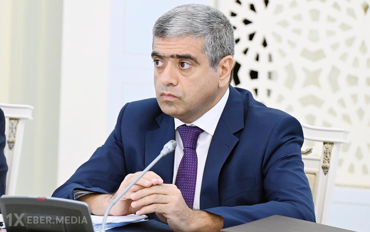 Nazir məşğulluq məsələləri ilə bağlı müsahibə verdi - Video