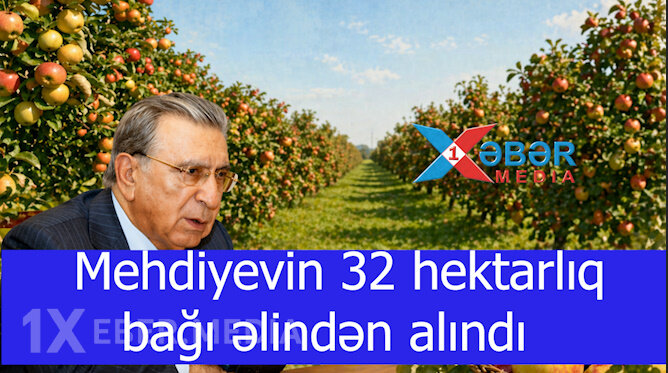 Mehdiyevin 32 hektarlıq bağı əlindən alındı-VİDEO