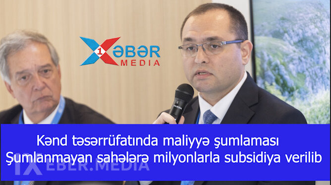 Kənd təsərrüfatında maliyyə "şumlaması"- Şumlanmayan sahələrə milyonlarla subsidiya verilib-VİDEO