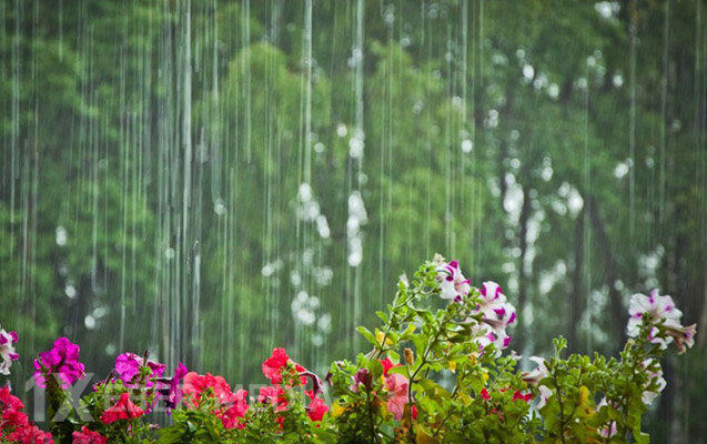 Yağış, dolu, qar... - Sabahın havası