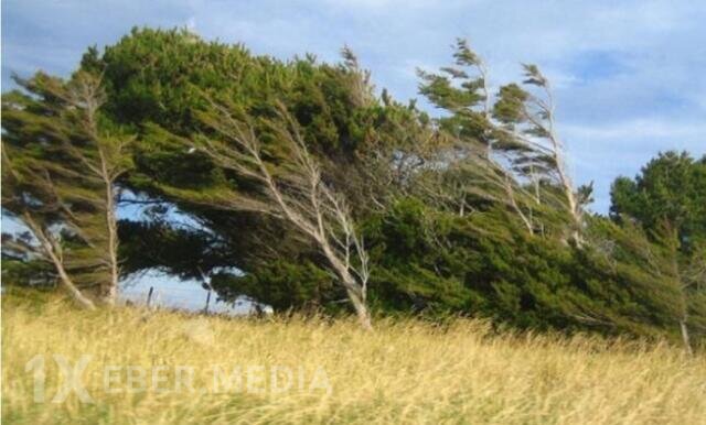 Bu ərazilərdə güclü külək əsir