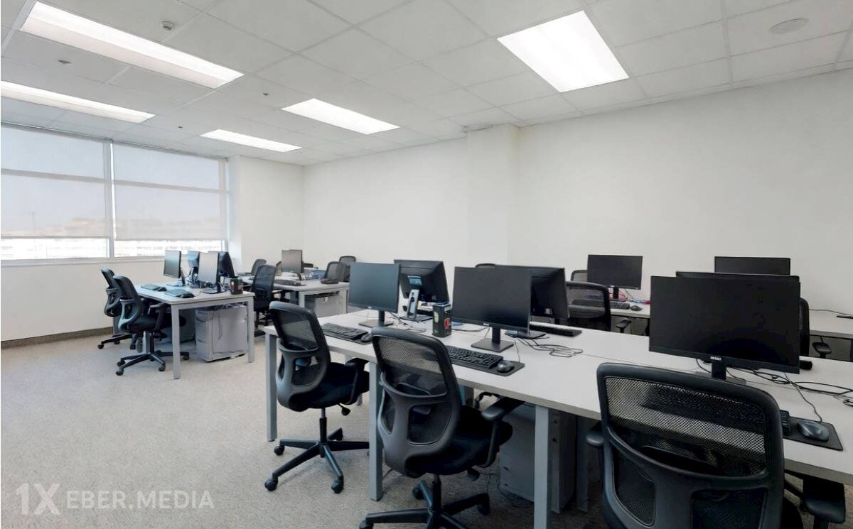 İş axtaranların nəzərinə! — Narkoloji test tələb oluna bilər