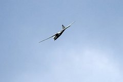 Rusiyanın Orlan-10 ana gəmisi SVO zonasında görülüb