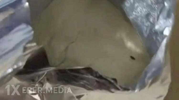 “Humana”dan qurd çıxması xəbəri haqda AÇIQLAMA