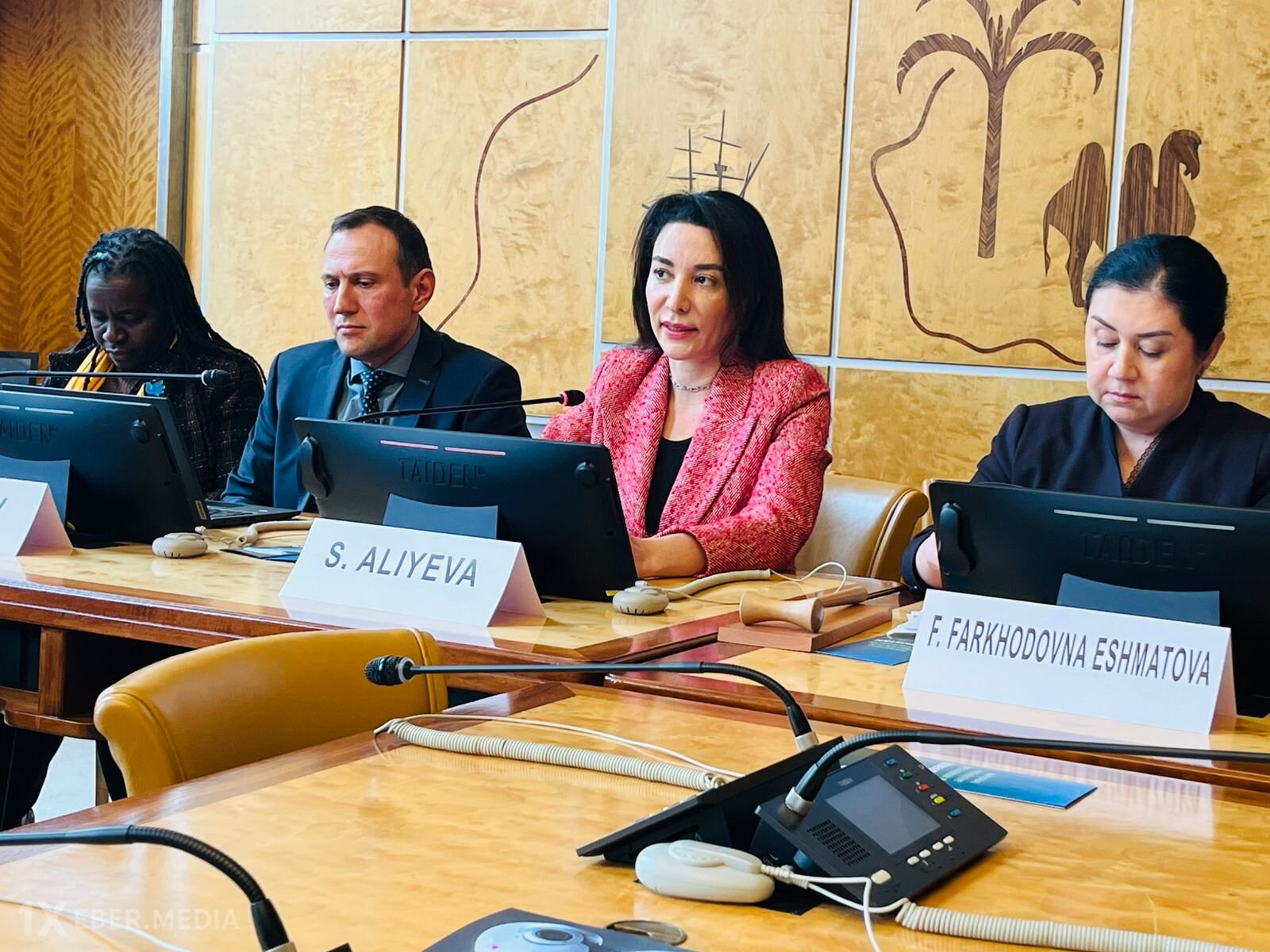 Ombudsman Milli İnsan Hüquqları Təsisatlarının Qlobal Alyansının illik iclasında iştirak edib