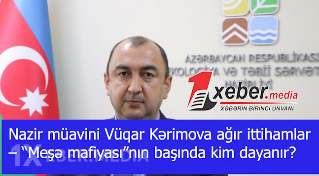 Nazir müavini Vüqar Kərimova ağır ittihamlar – “Meşə mafiyası”nın başında kim dayanır?-VİDEO
