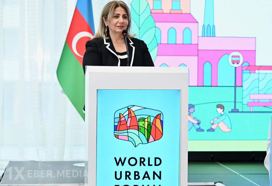 Gülşən Rzayeva: Gender bərabərliyi olmadan dayanıqlı və təhlükəsiz şəhərlər mümkün deyil