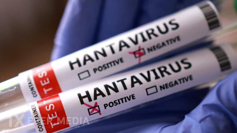 Bu ölkədə daha bir nəfərdə hantavirus aşkarlandı