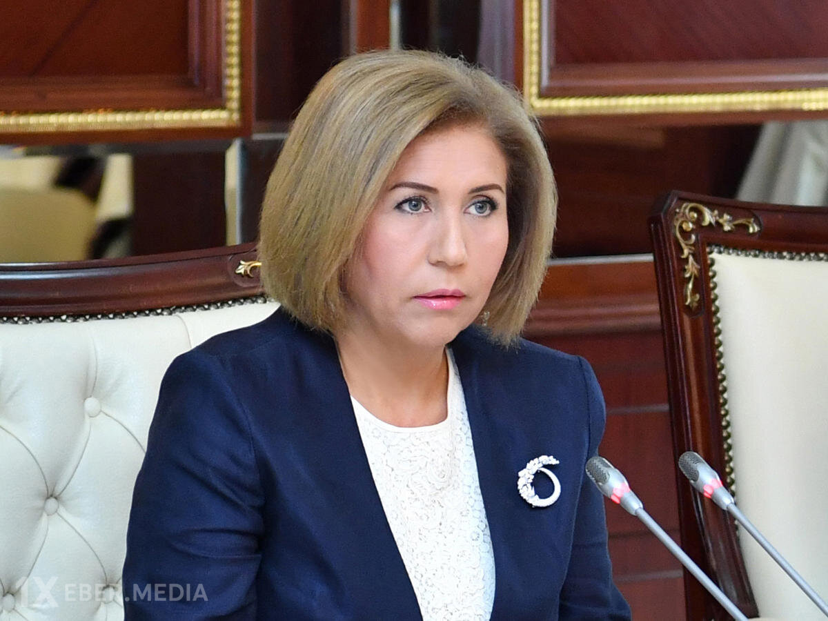 "Bu problem indiki mərhələdə daha qabarıq şəkildə özünü göstərir" - Komitə sədri