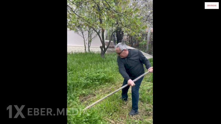 Sabiq icra başçısı dəryazla ot biçdi - VİDEO