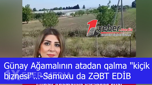 Günay Ağamalının atadan qalma "kiçik biznesi"…-Samuxu da ZƏBT EDİB-VİDEO