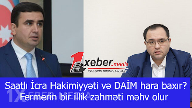 Saatlı İcra Hakimiyyəti və DAİM hara baxır? Fermerin bir illik zəhməti məhv olur-VİDEO