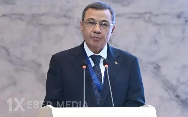 "Qarabağda çox böyük işlər görülüb" - Səfir