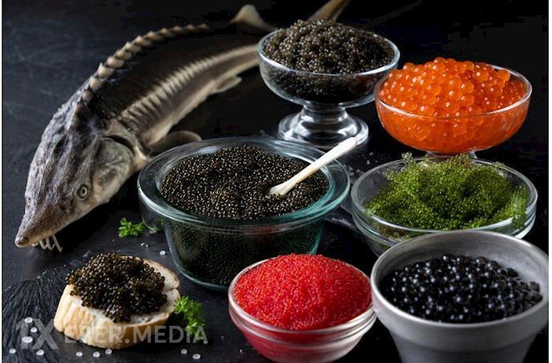 Nərə kürüsünü xaricə 1 690 manata satıb xaricdən 18 manata əvəzedicisini alırıq