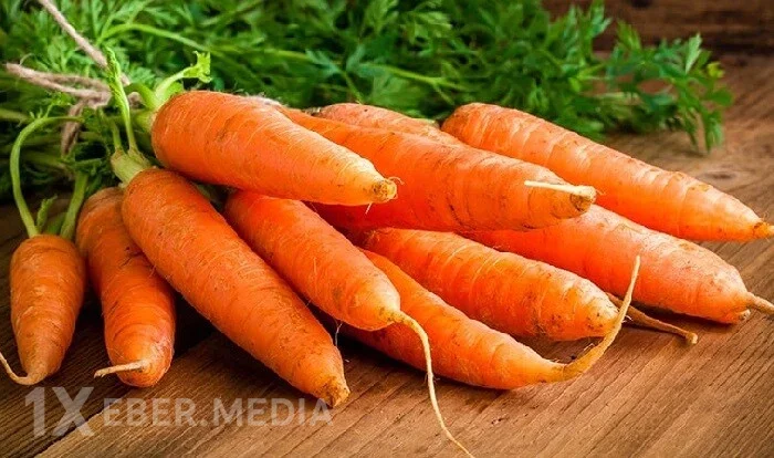 Alimlər kökün ömrü uzatdığını sübut etdilər