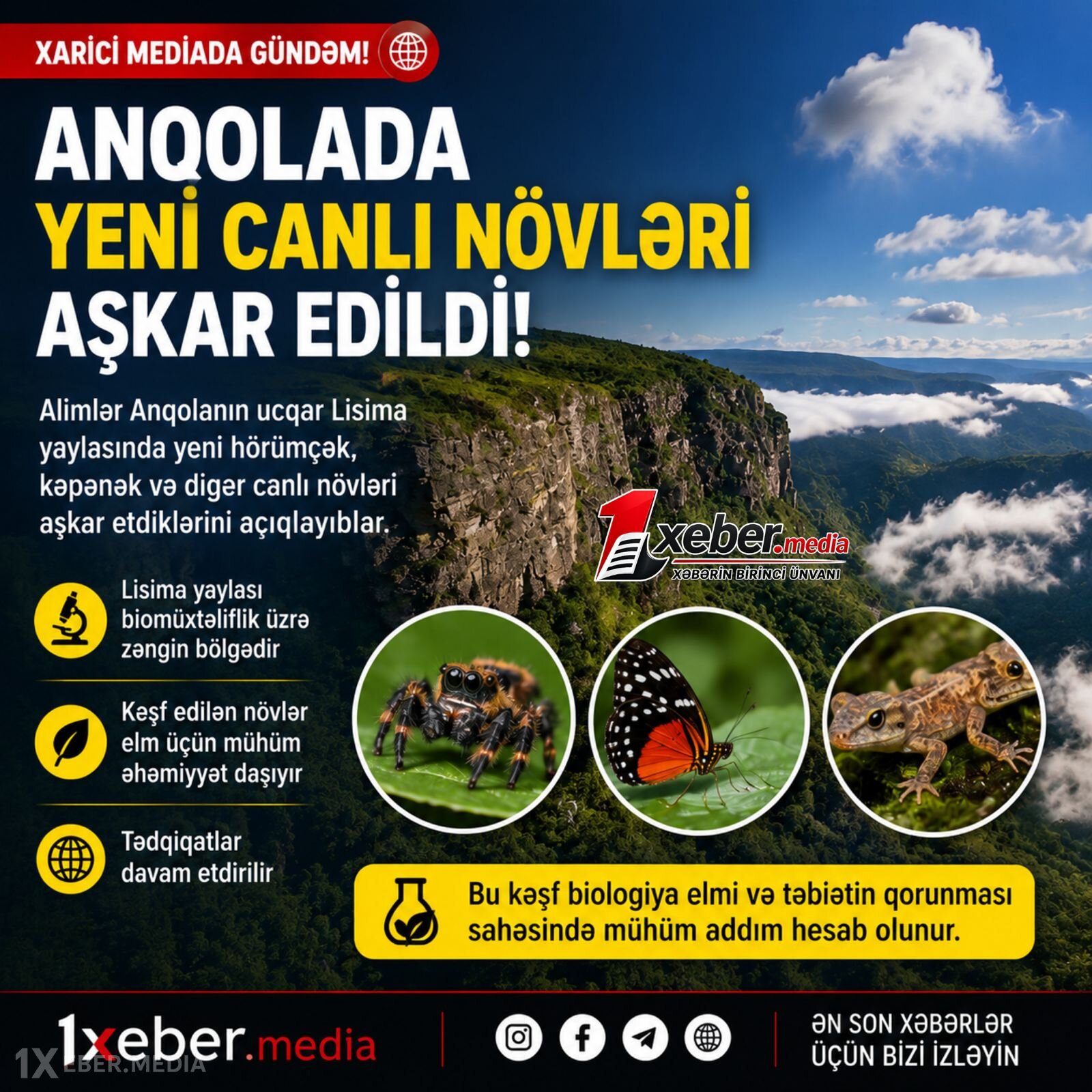Anqolada yeni canlı növləri aşkar edilib