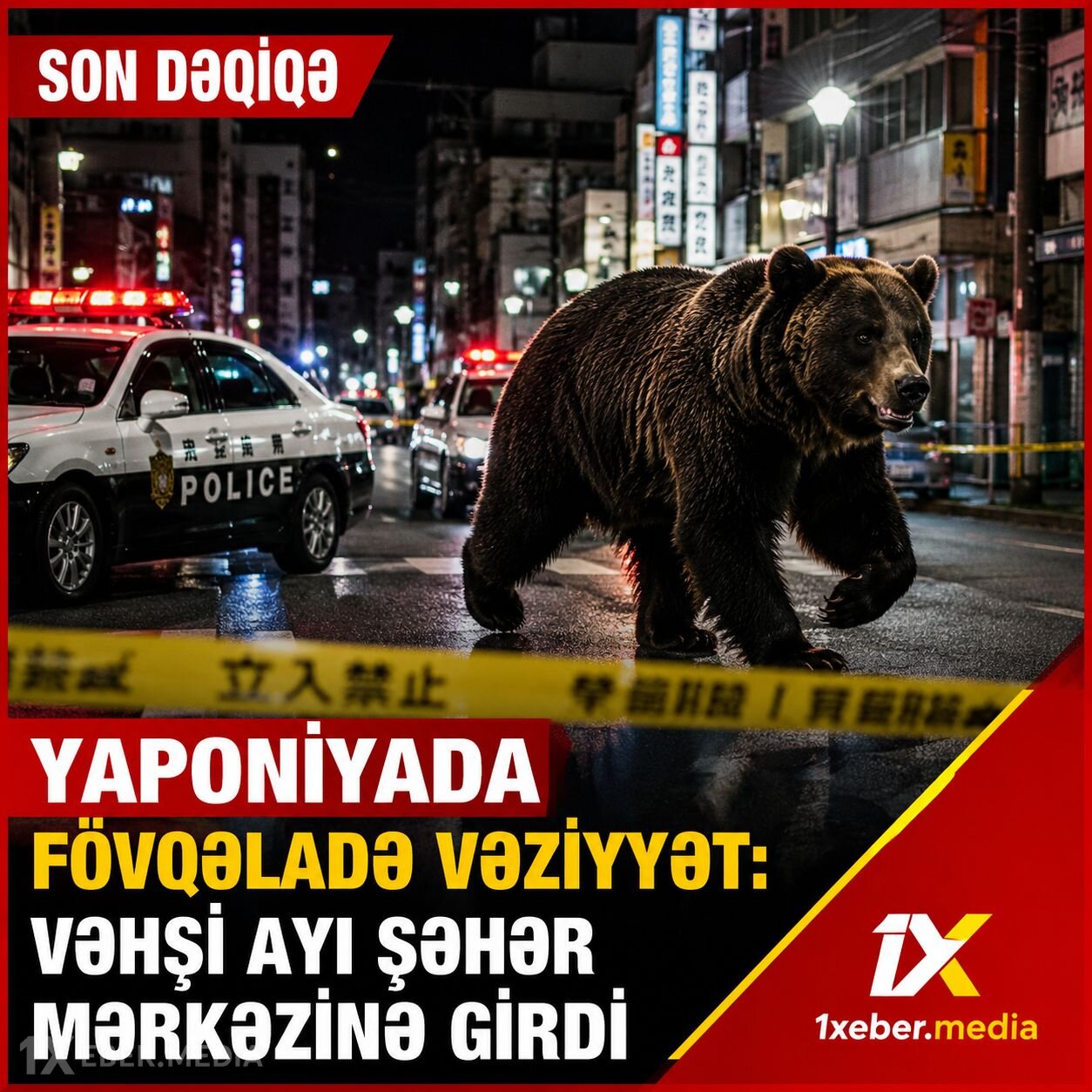 Yaponiyada ayı şəhəri ayağa qaldırdı