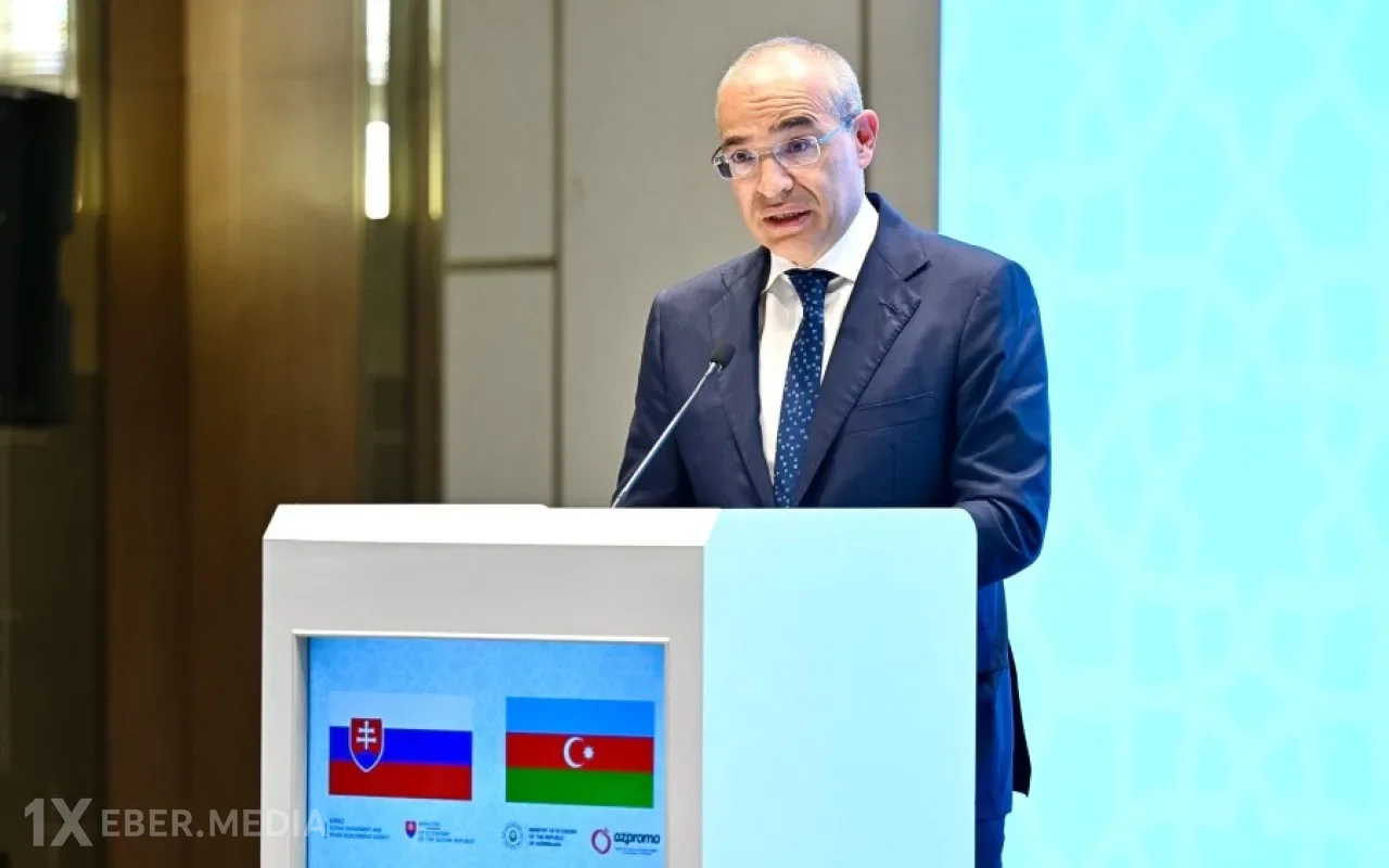 "Azərbaycanda fəaliyyət göstərmək şirkətlərə daha geniş regional bazara çıxış imkanı yaradır" - Nazir
