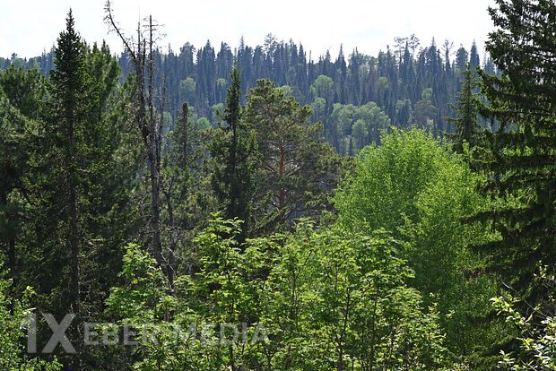 İtkin düşən Usoltsevlər ailəsinin axtarışlarının davam etdiriləcəyi müddət açıqlanıb