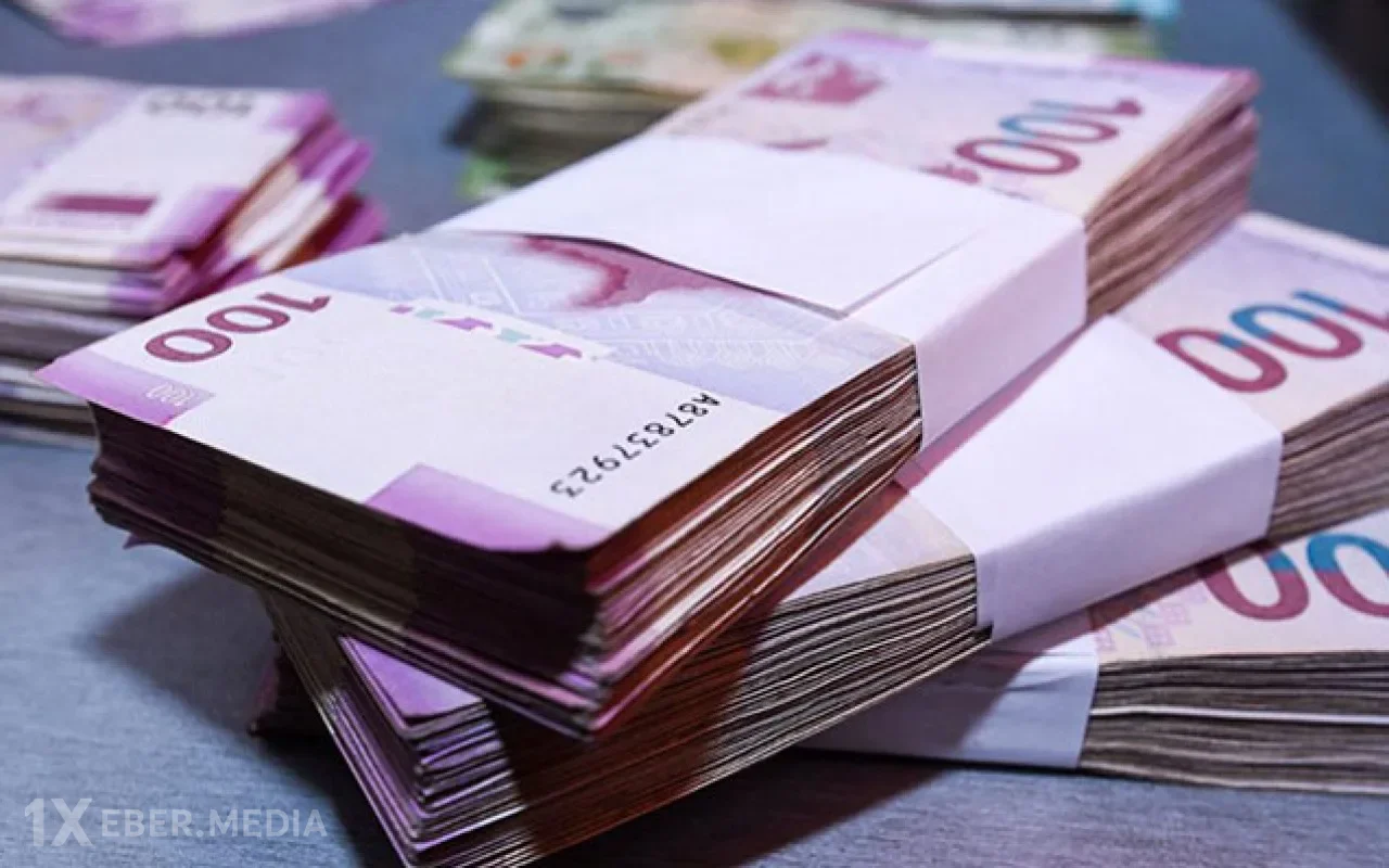 Azərbaycanda dövlət büdcəsindən 192 milyon manata yaxın vəsait geri qaytarılıb