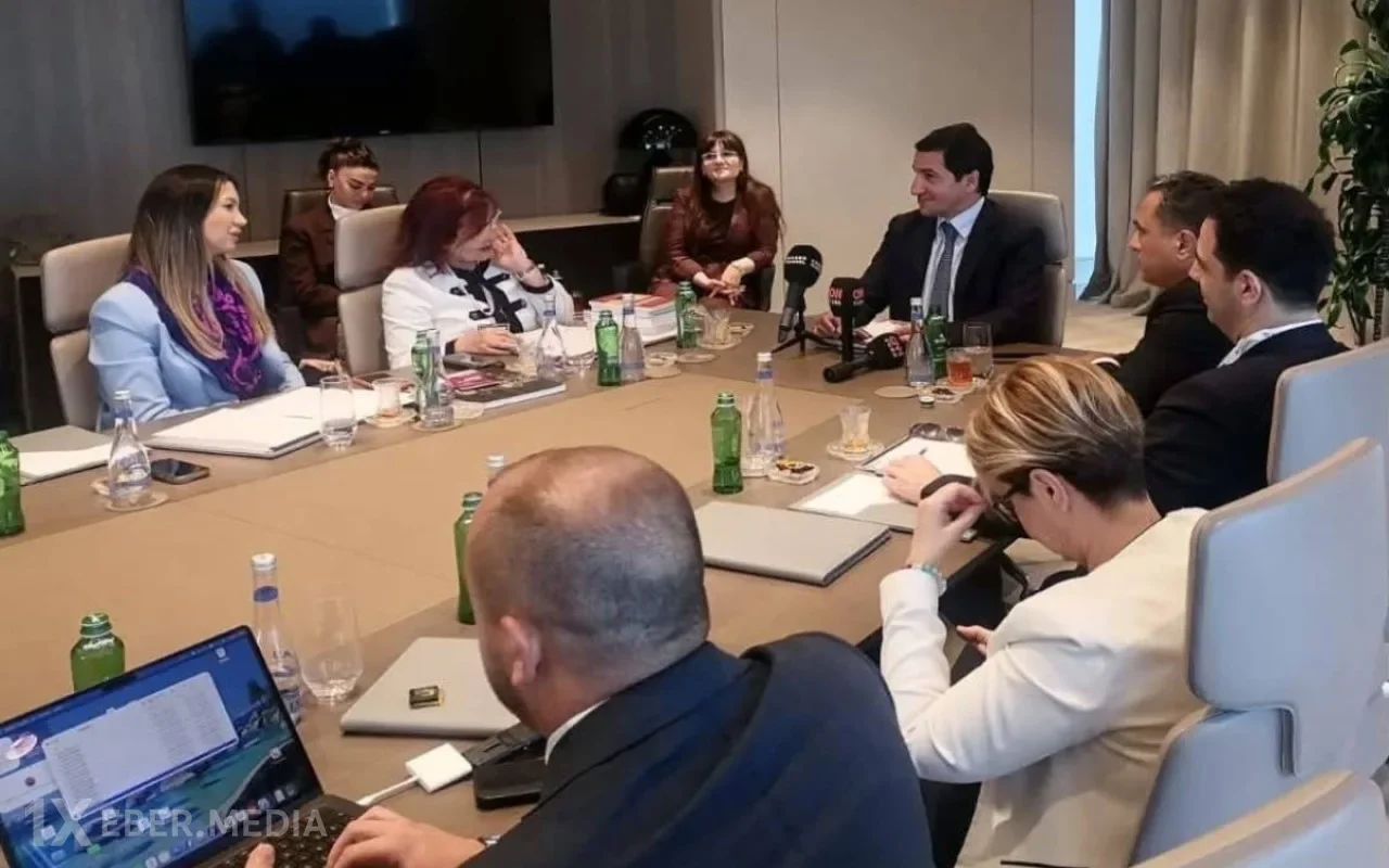 Hikmət Hacıyev TADİV nümayəndə heyətini qəbul etdi - FOTO