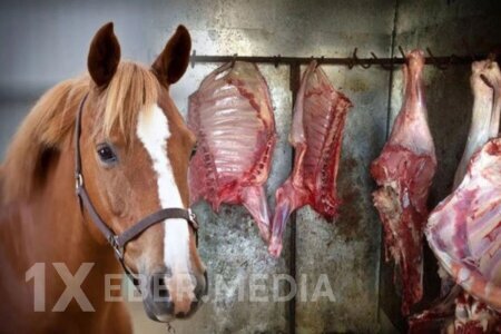 Kilosu 100 manata olan “At əti” — Bazara nə vaxt açıq şəkildə çıxarıla bilər?