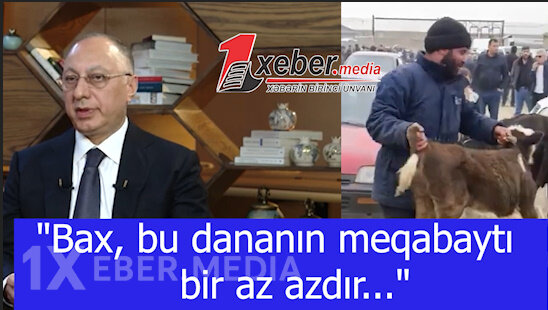 "Bax, bu dananın meqabaytı bir az azdır..."-Qoşqar müəllim, kəndli heyvanı klaviatura ilə necə bəsləsin?