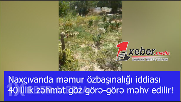 Naxçıvanda məmur özbaşınalığı iddiası-40 illik zəhmət göz görə-görə məhv edilir! -VİDEO