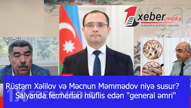 Rüstəm Xəlilov və Məcnun Məmmədov niyə susur?-Salyanda fermerləri müflis edən "general əmri"-VİDEO