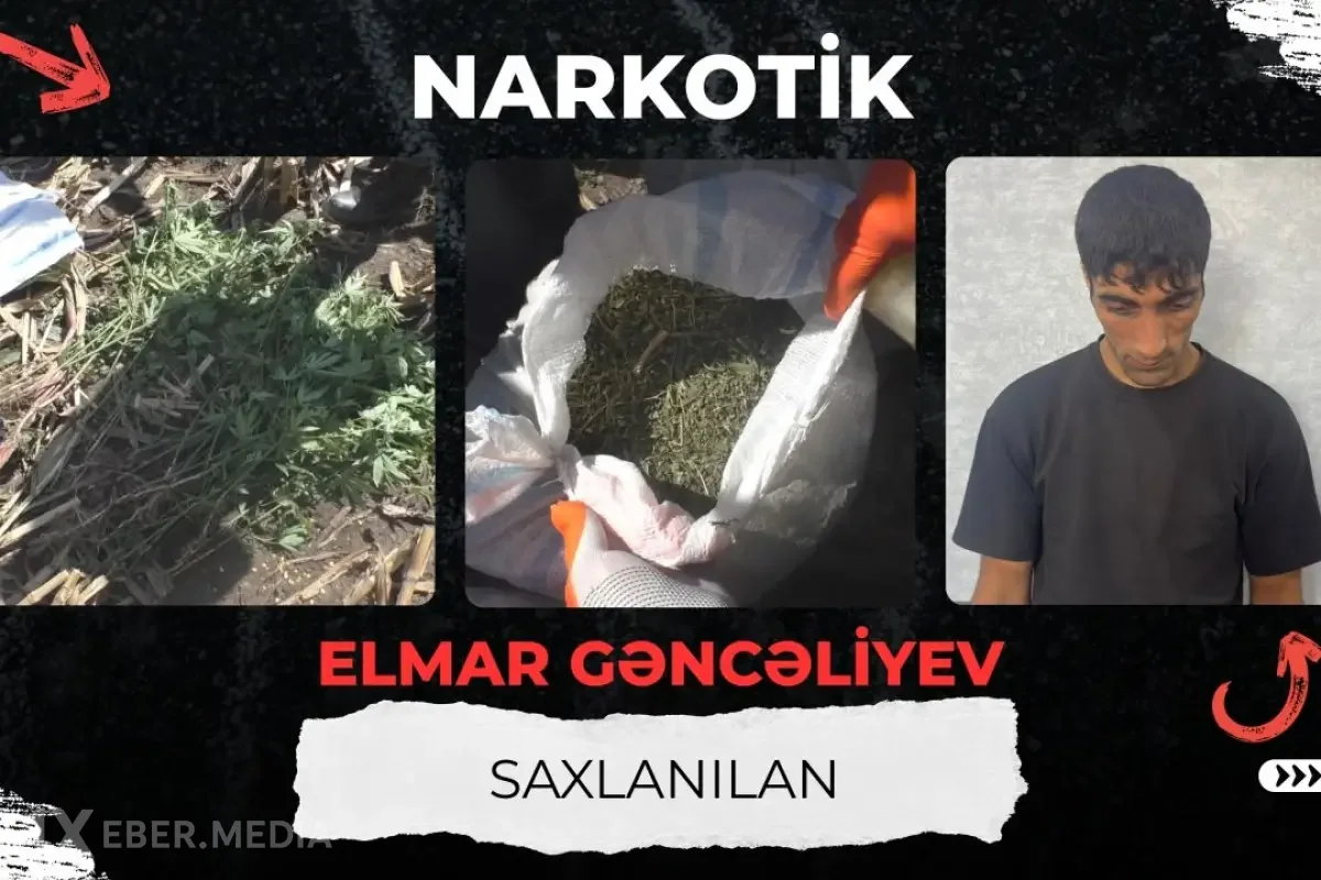 Qarğıdalı sahəsində narkotik əkdi - VİDEO