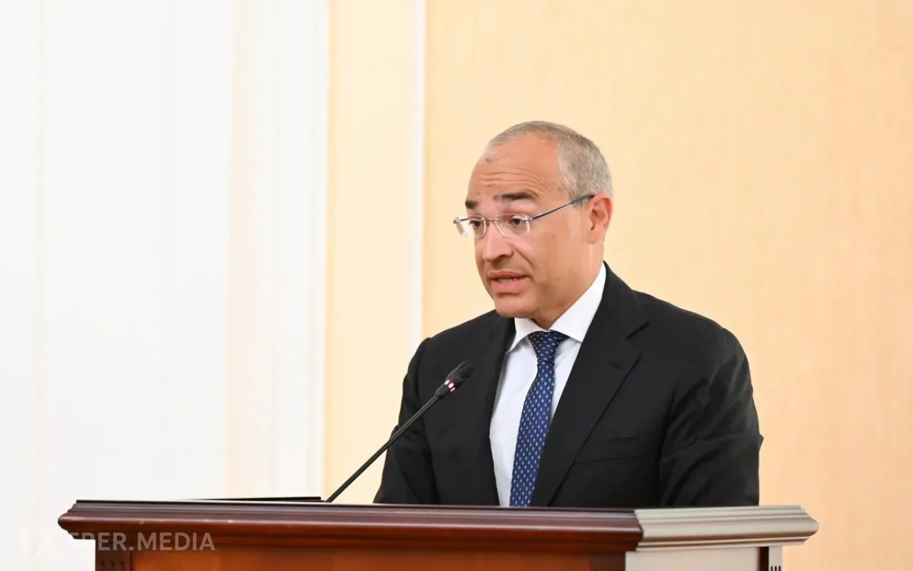 "Yanaşmamız xammalı daha çox emal etməkdir" - Mikayıl Cabbarov