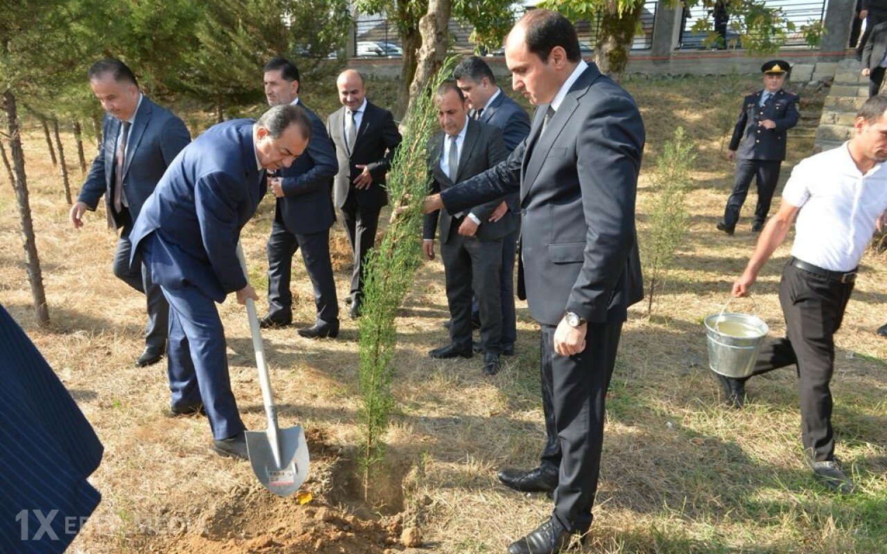 Lənkəranda 27 Sentyabr – Anım Günü ilə bağlı ağacəkmə aksiyası keçirilib - FOTOLAR